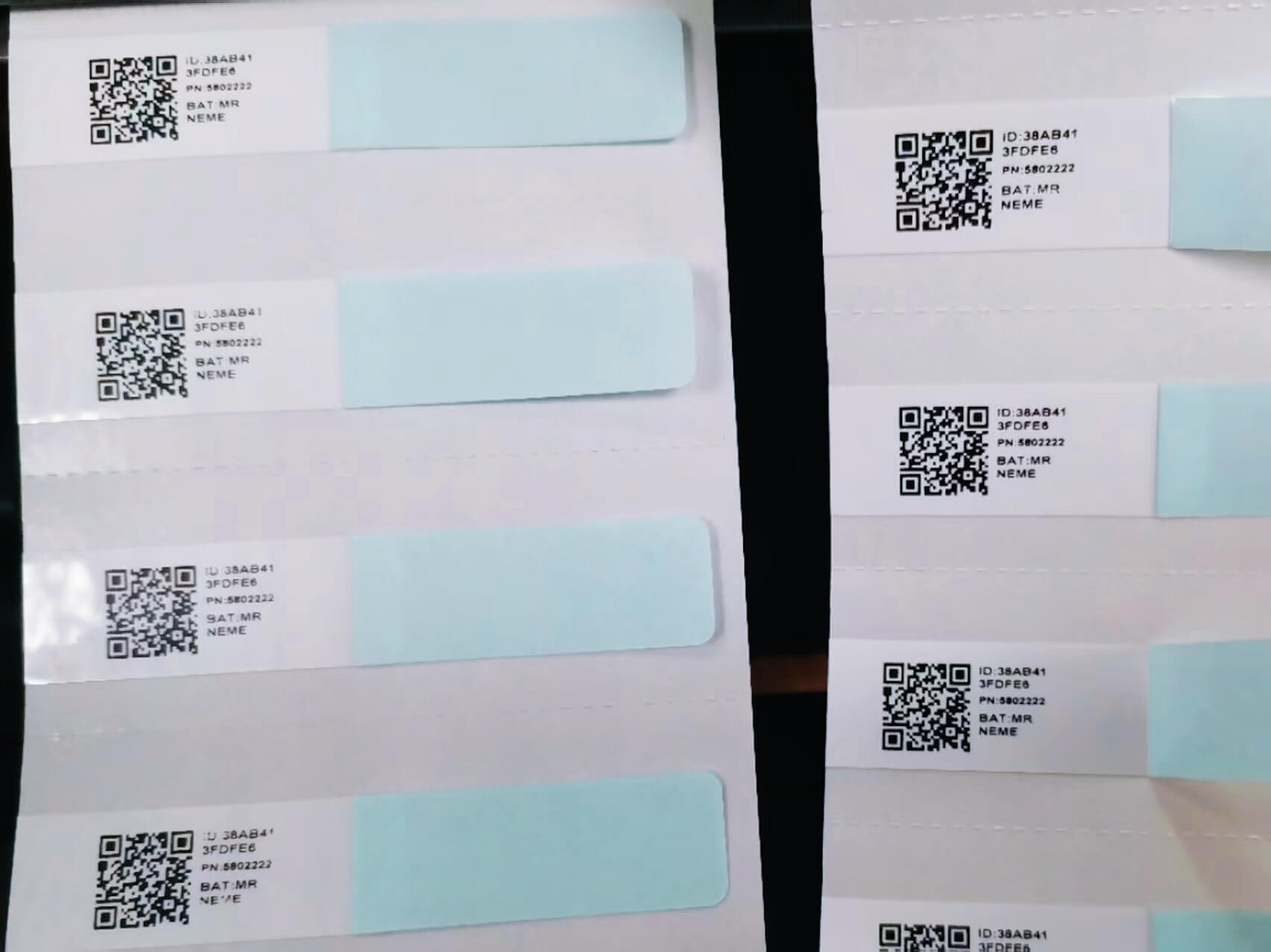 Paint Patch Label (Butterfly Label)