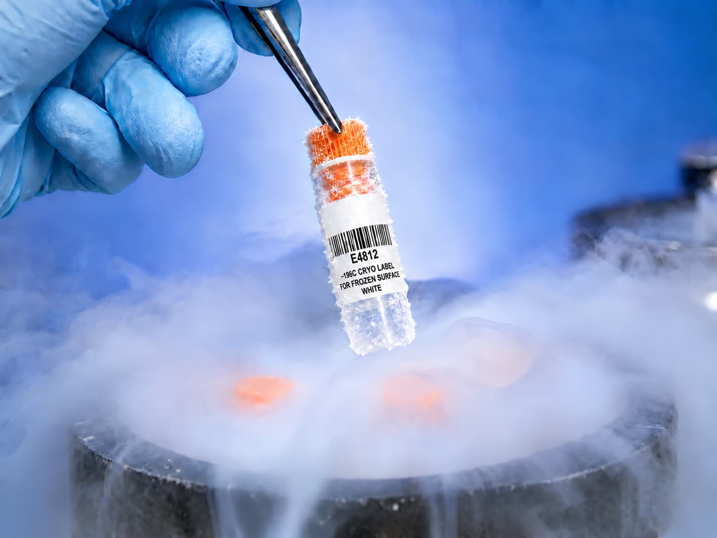 E-4812 — −196°C Liquid Nitrogen Storage Label
