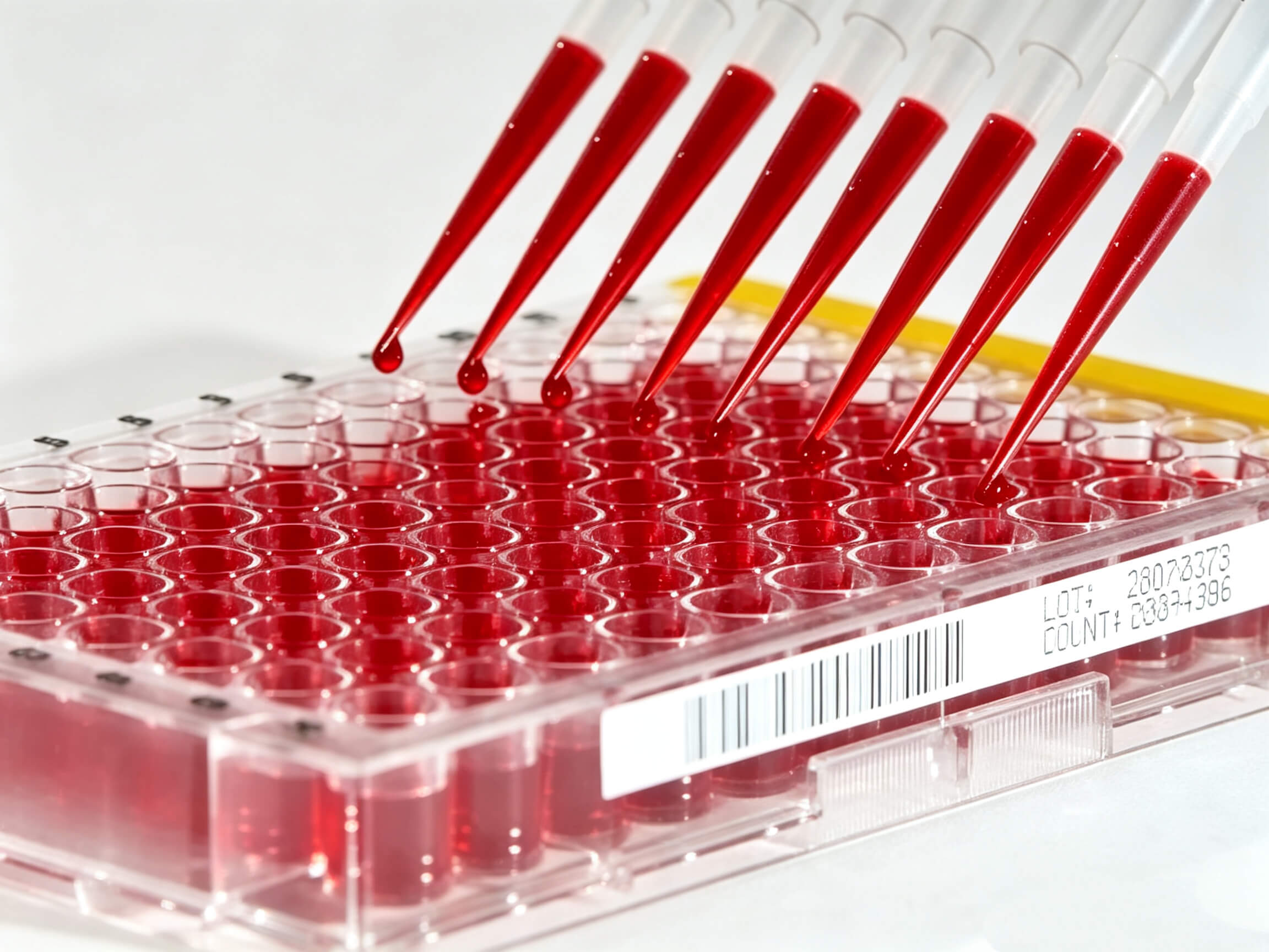 E-4834 — 3 mil White PP PVC Blood-Bag Label (−80 to 120 °C, Sterilization-Stable)