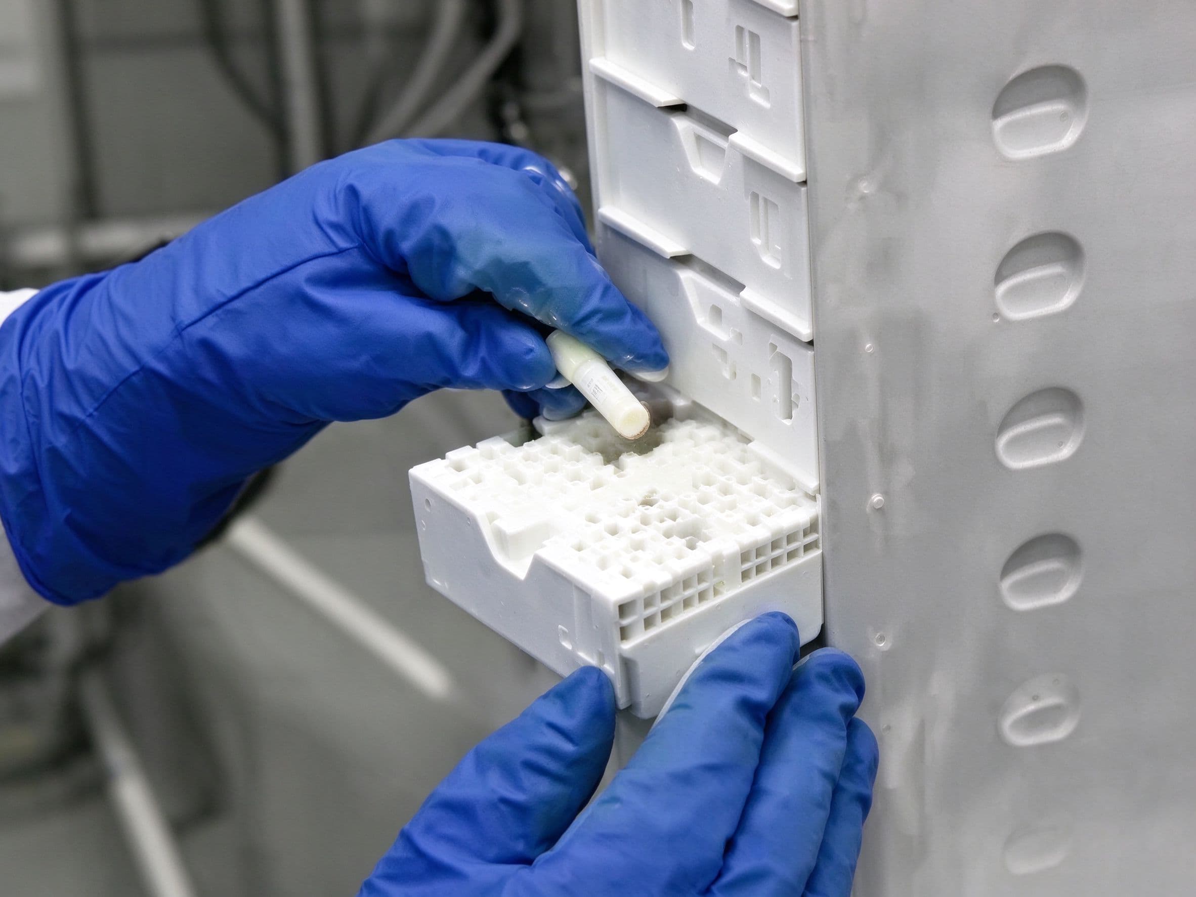 EF070806 — Clear Matte PP Cryogenic Label (Apply & Store to −196 °C LN₂)
